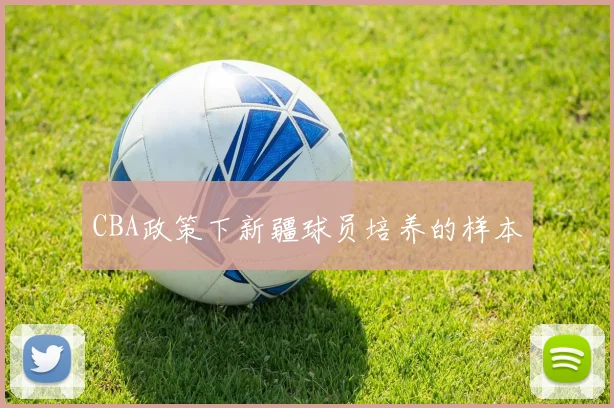 CBA政策下新疆球员培养的样本
