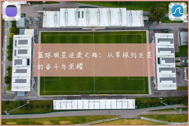 篮球明星逆袭之路：从草根到巨星的奋斗与荣耀