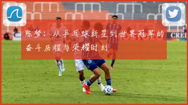 陈梦：从乒乓球新星到世界冠军的奋斗历程与荣耀时刻