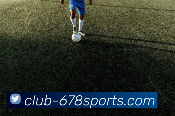 678体育平台平台生态图